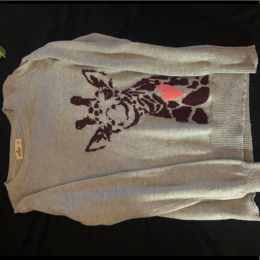 Maroon and grey sweater